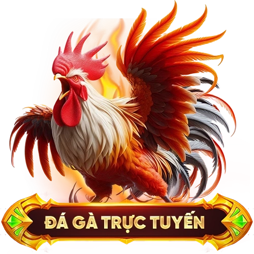 đá gà trực tuyến KL99